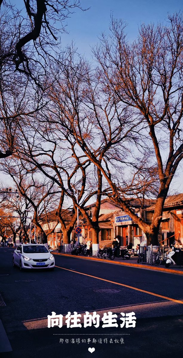 Shengx1225's tweet photo. 宁静让人平静的一些地方。 https://t.co/Z5TXlPlaRi