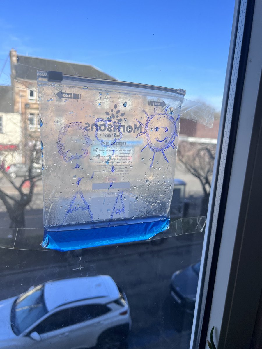 BeenishRaghib's tweet image. #OLMSTEM #ERCSTEM