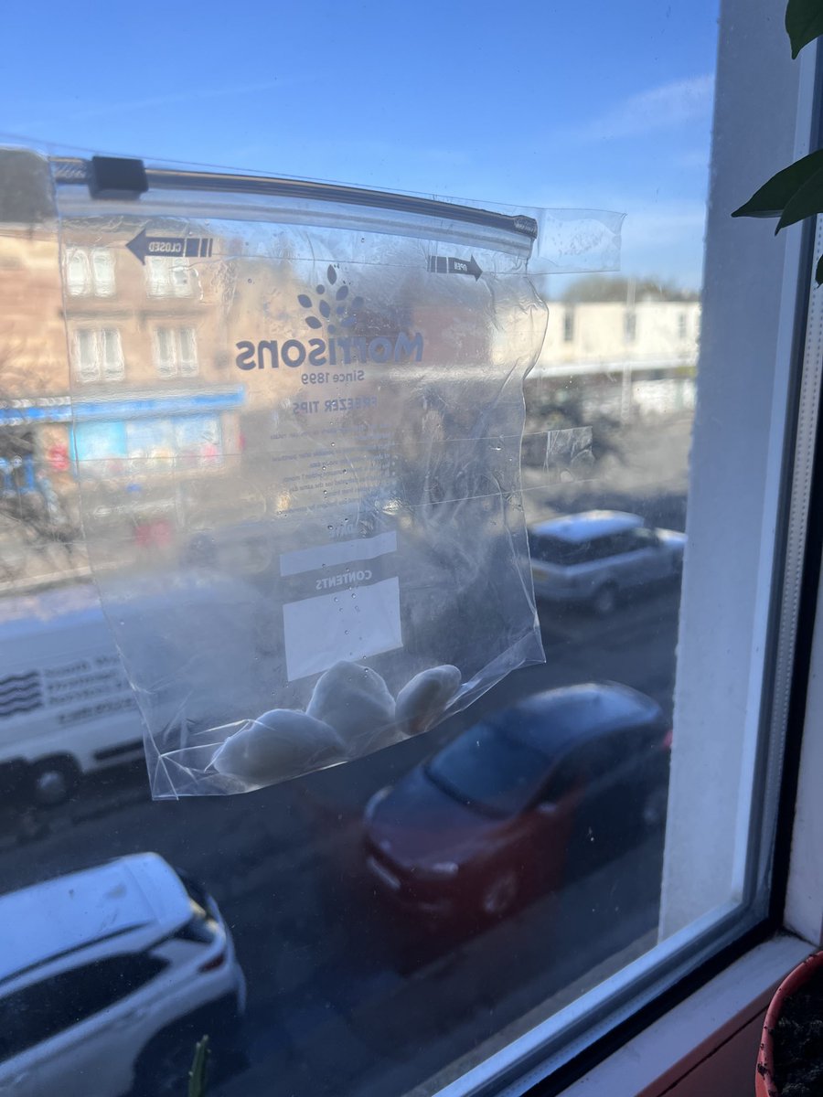 BeenishRaghib's tweet image. #OLMSTEM #ERCSTEM