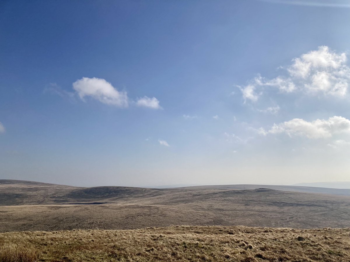 ashwell_lily's tweet photo. Only nipped out to catch the sunrise with a cuppa….then my mind and feet were drawn into the heart of the moor.
Never tires…
#Dartmoor #SaturdayMorning
#gratitude #nevertakeforgranted https://t.co/Xr4sQJquz5