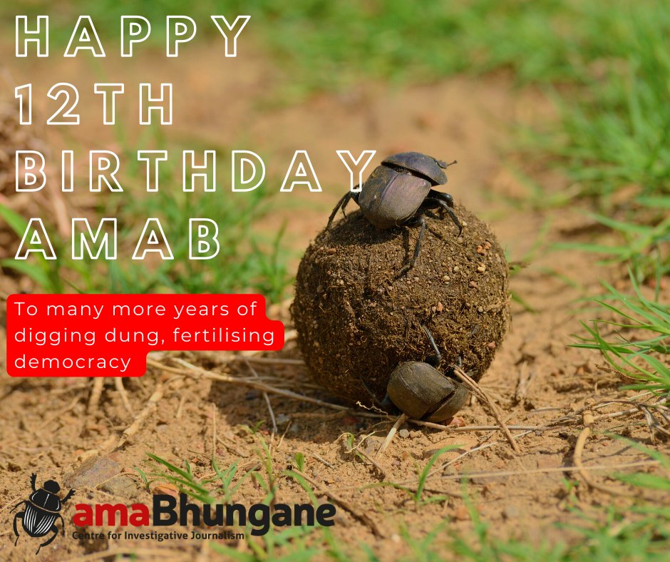 amaBhungane's tweet image. Happy 12th birthday to @amaBhungane - 12 years of investigative journalism. Join our journey of digging dung by subscribing to our newsletter amabhungane.org/newsletter-sig…. You can also become an amaB supporter &amp;amp; help us continue holding power to account amabhungane.org/support/.