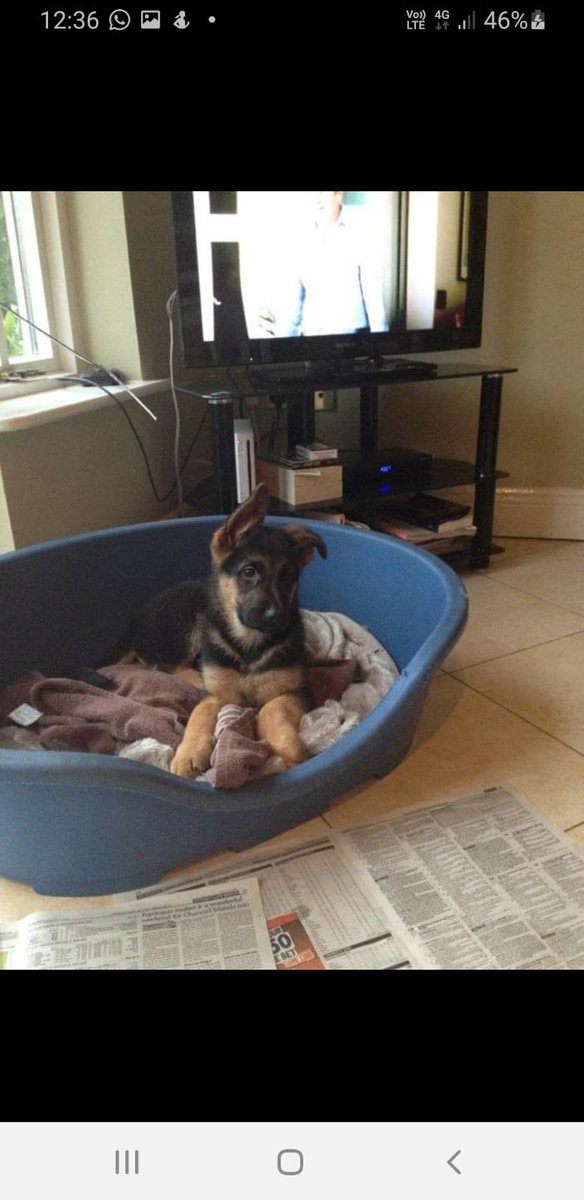 st Margaret’s livery and grazing tweet media