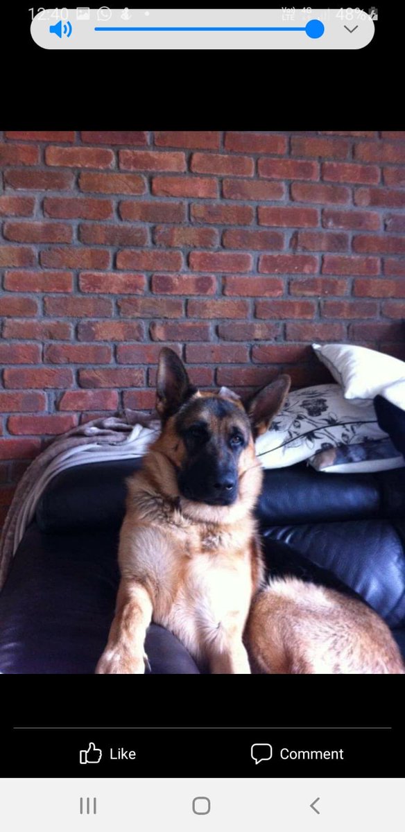 st Margaret’s livery and grazing tweet media