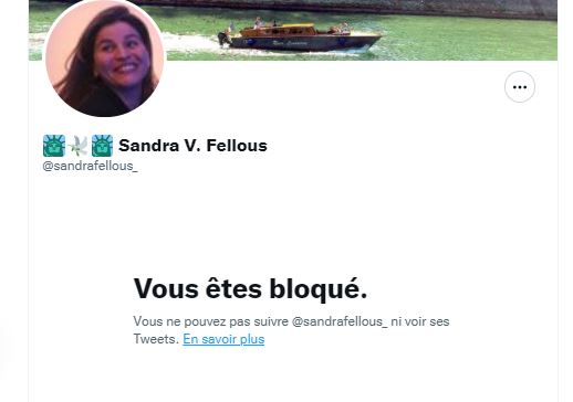 cyrilSAMSON4's tweet photo. Victoire , la suiveuse de soupe en chef @sandrafellous_ m'a bloqué lorsque je lui ai rappelé sa précédente allégeance . 
une démocrate et une femme de conviction on vous dit ! 
#fellousretournementdeveste https://t.co/402rXQ8UAD