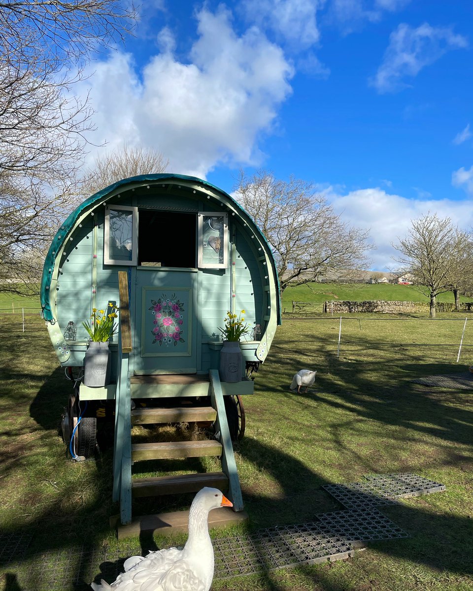 Don’t miss the gorgeous spring weather this week - we have availability!!
Please retweet! 

airbnb.com/h/langtonbury