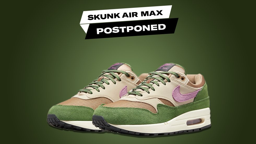 nike air max 1 skunk