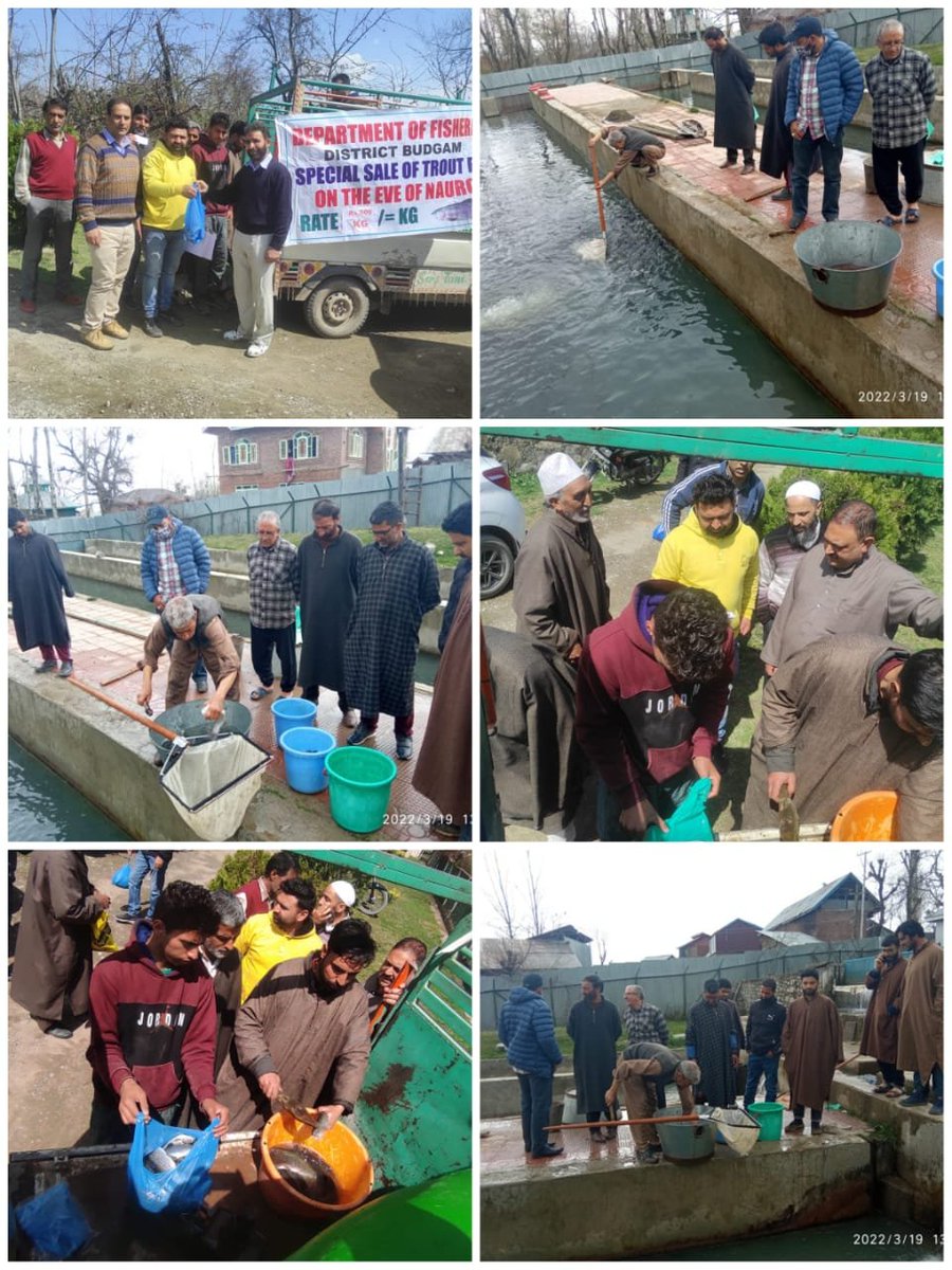 FISHERIES BUDGAM tweet media