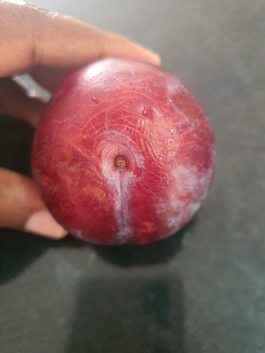 iQonBeats's tweet photo. Things we see during doggy but you won't hear us complain https://t.co/o04nVgcwY0