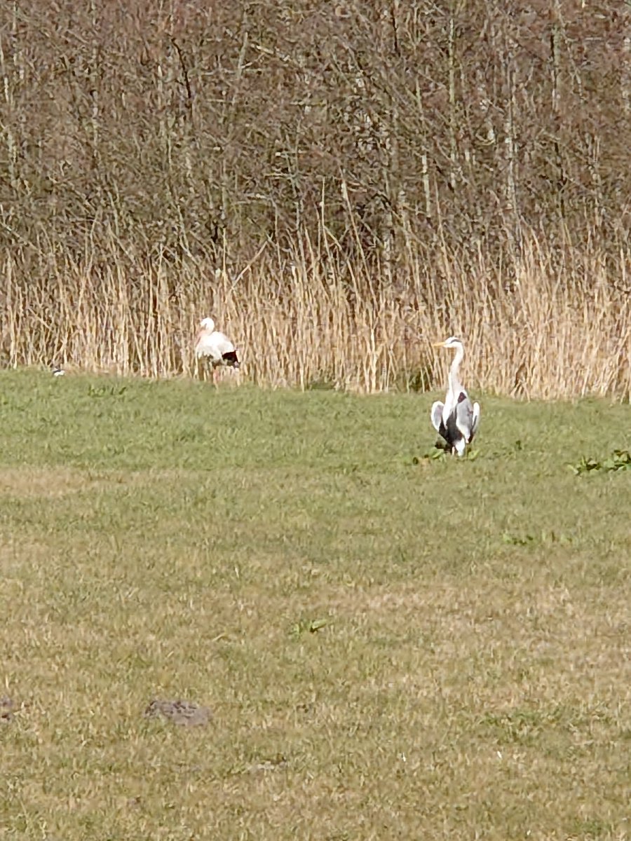 Hans de Bruin tweet media