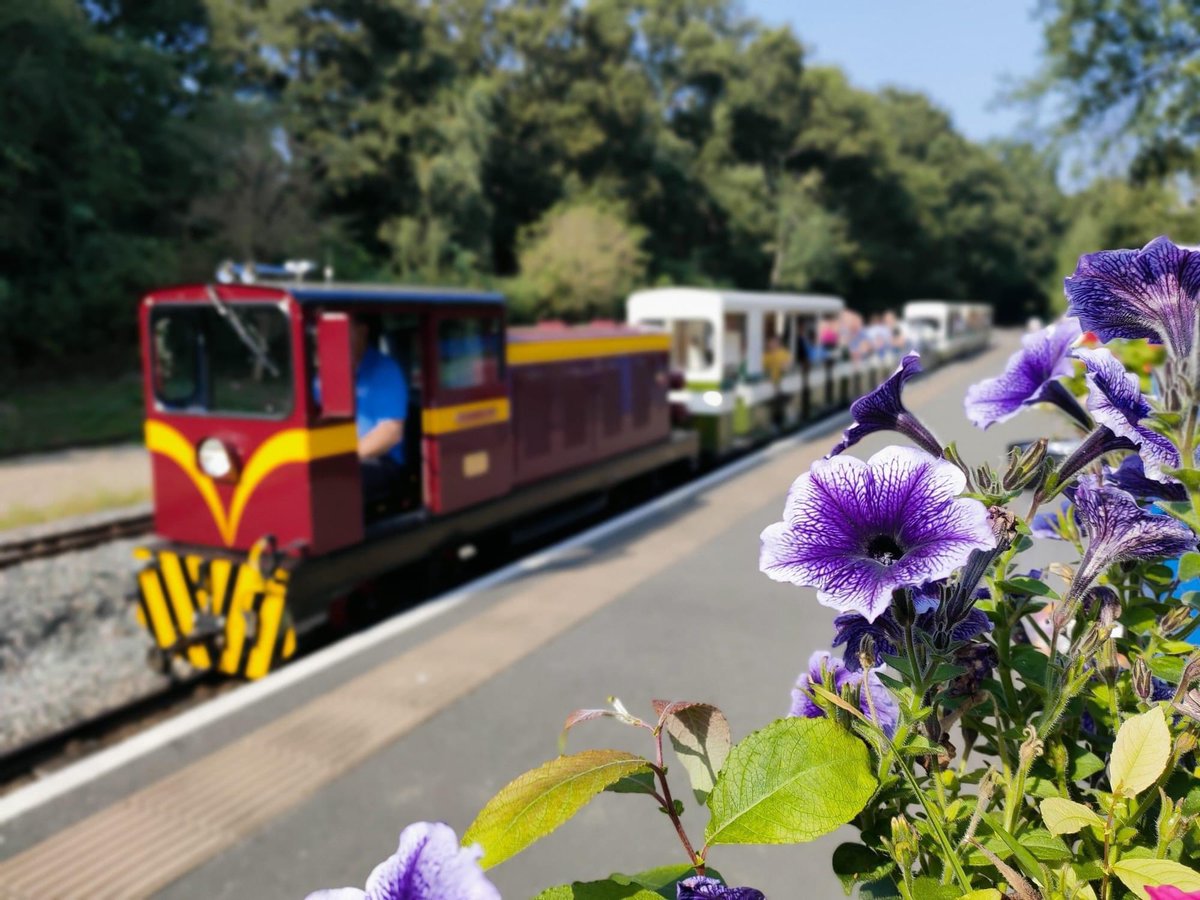 Come and join us for a ride this weekend. 🚂🚂
Saturday - trains running every 20mins 12:20-16:20.
Sunday - trains running every 20mins 11:40-17:00.
Grab that 🍦and come and enjoy the 🌞