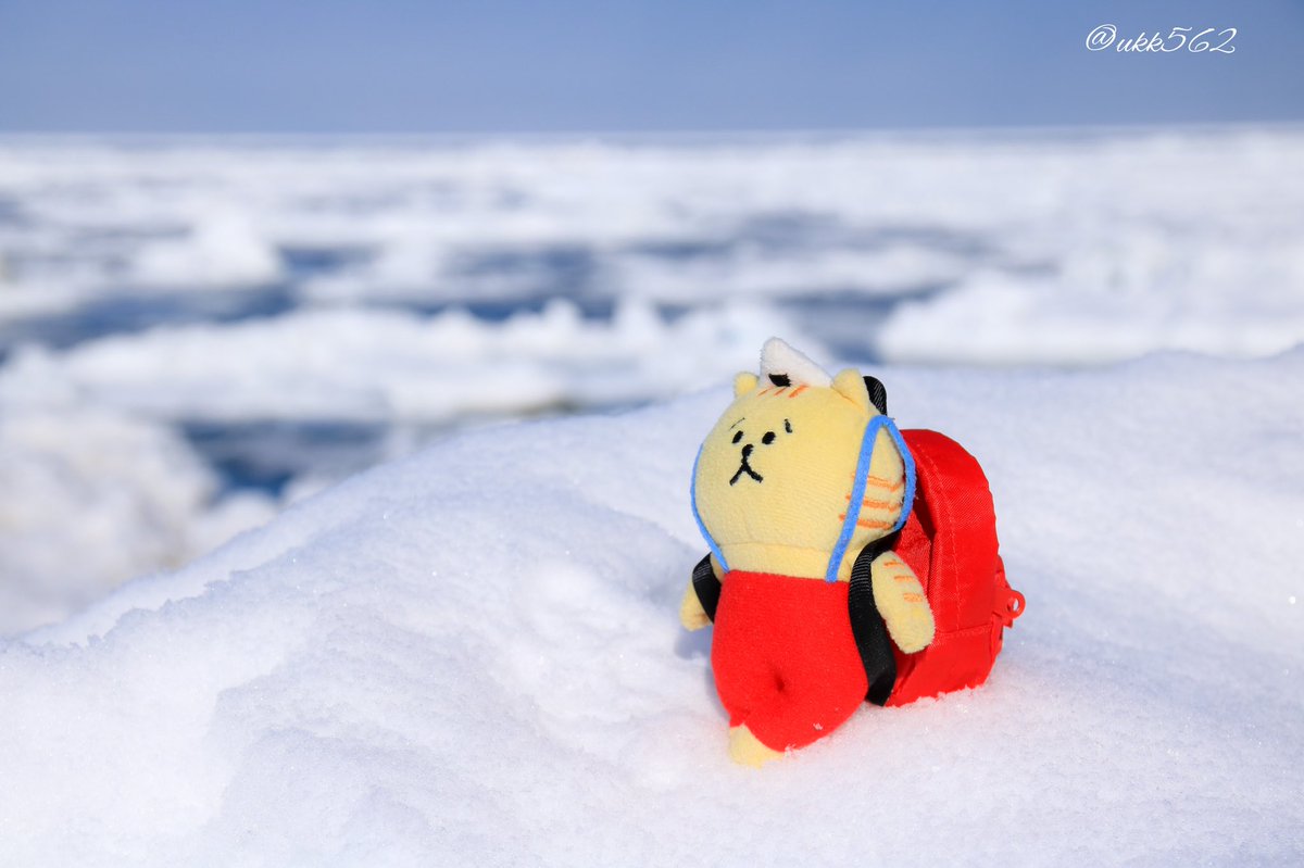 ukk562's tweet photo. 北海道もやっと暖かくなって来た(ノ*°▽°)ノ
とは言っても本日の最高気温4℃🌷.*
流氷を見に行った寒い日も今や懐かしい☺️
#ファインダー越しの私の世界
#写真好きな人と繋がりたい
#photography
#562camera
#ごろごろにゃんすけ
#mindwave
#流氷 https://t.co/IgYImWaA9Q