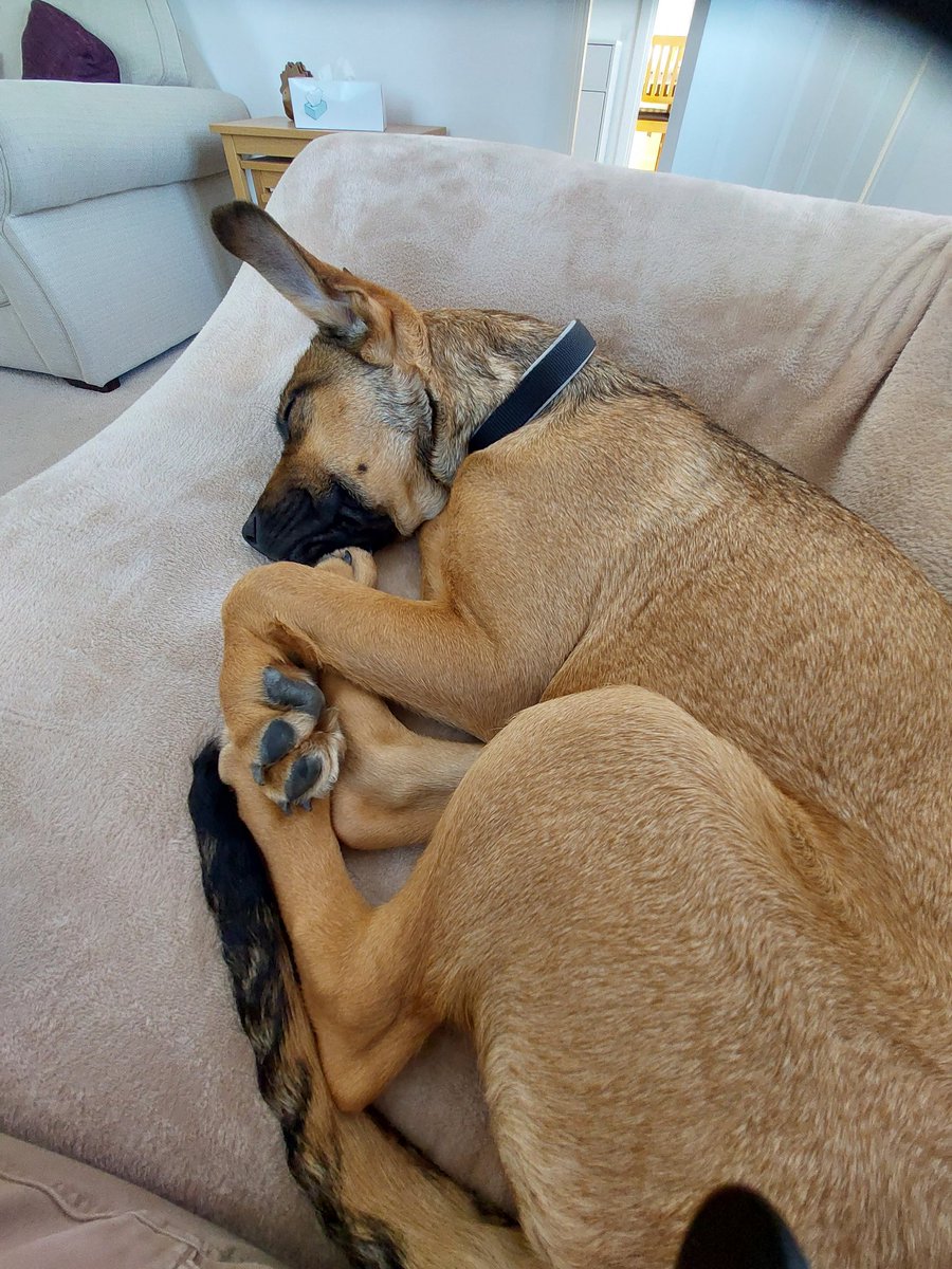 Imac65's tweet image. Weekend vibes #PeakedEarly