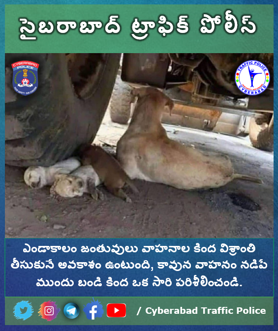 CYBTRAFFIC's tweet photo. Watch out for the Animals that may be lurking under the vehicle before driving.

#RoadSafety https://t.co/Dn0xBNGeyA