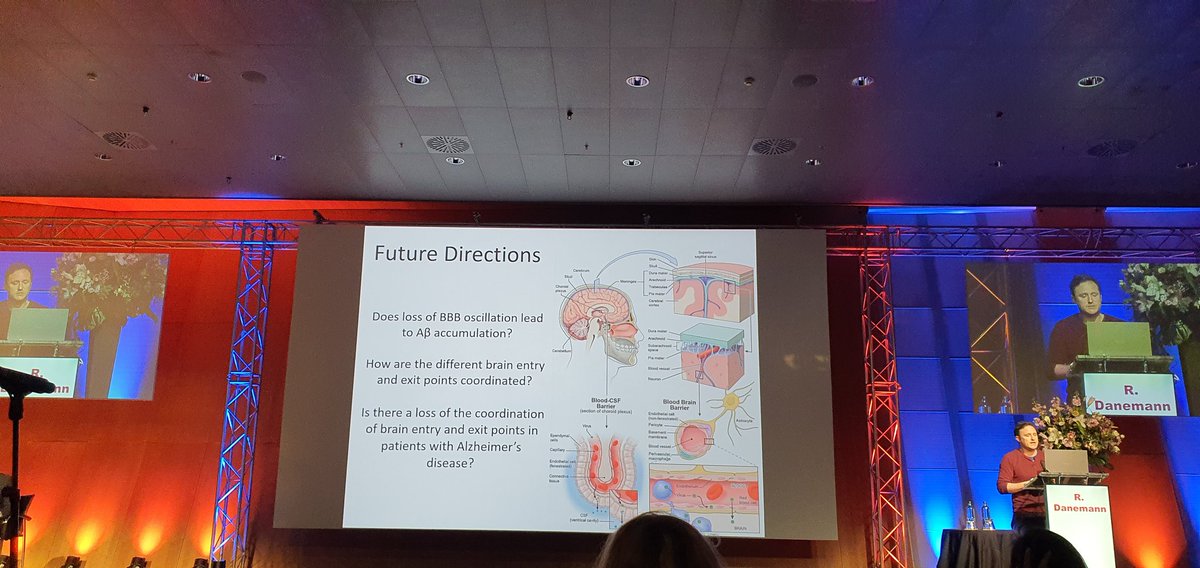 DanielaNoain's tweet photo. Great symposium led by @jonykipnis this morning on glymphatic system, blood brain barrier and other key players in keeping house for the brain. 
Much enjoyed!!! 😃
#TogetherAtADPD https://t.co/7zXAXEoJEl