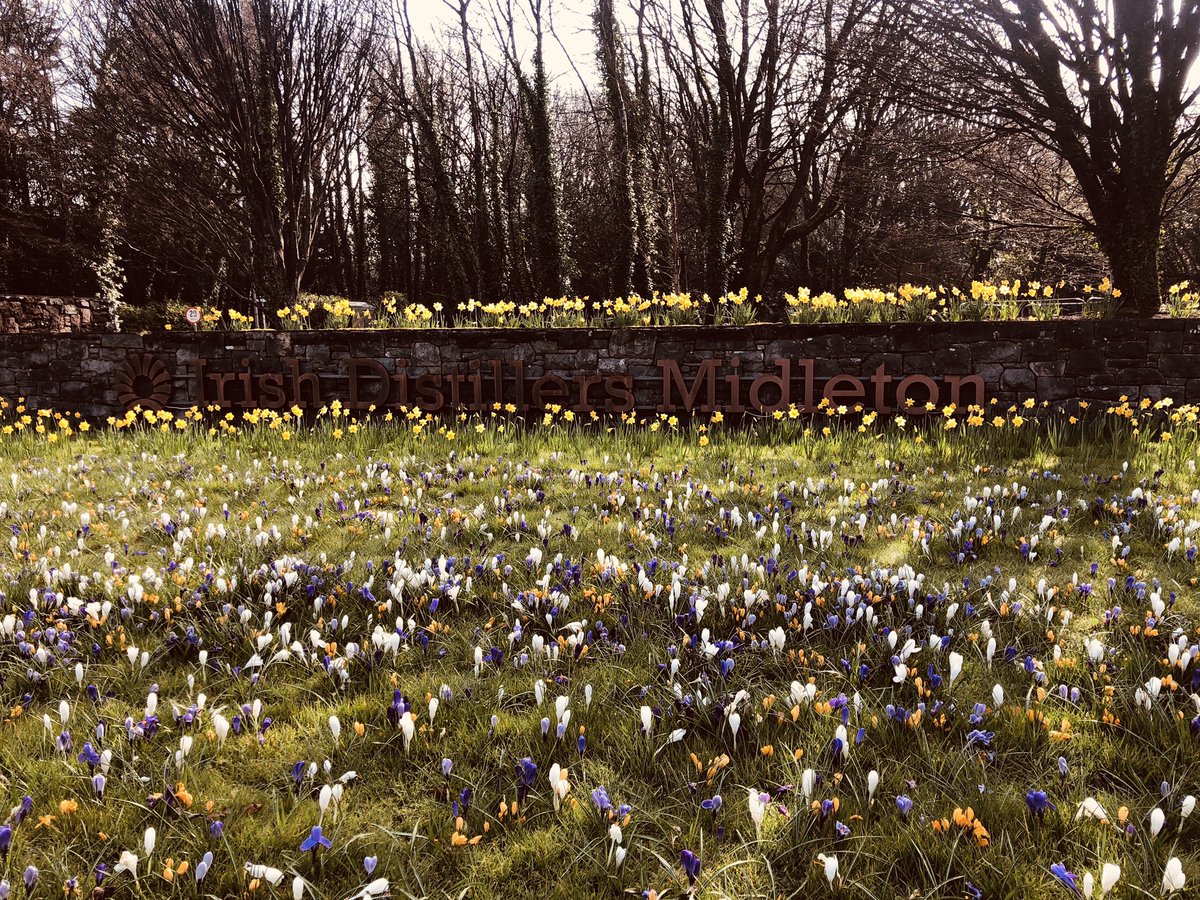 Mellow Designs tweet media