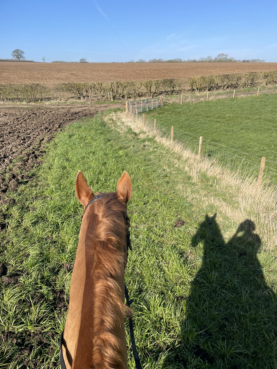 Samantha Coldbeck tweet media