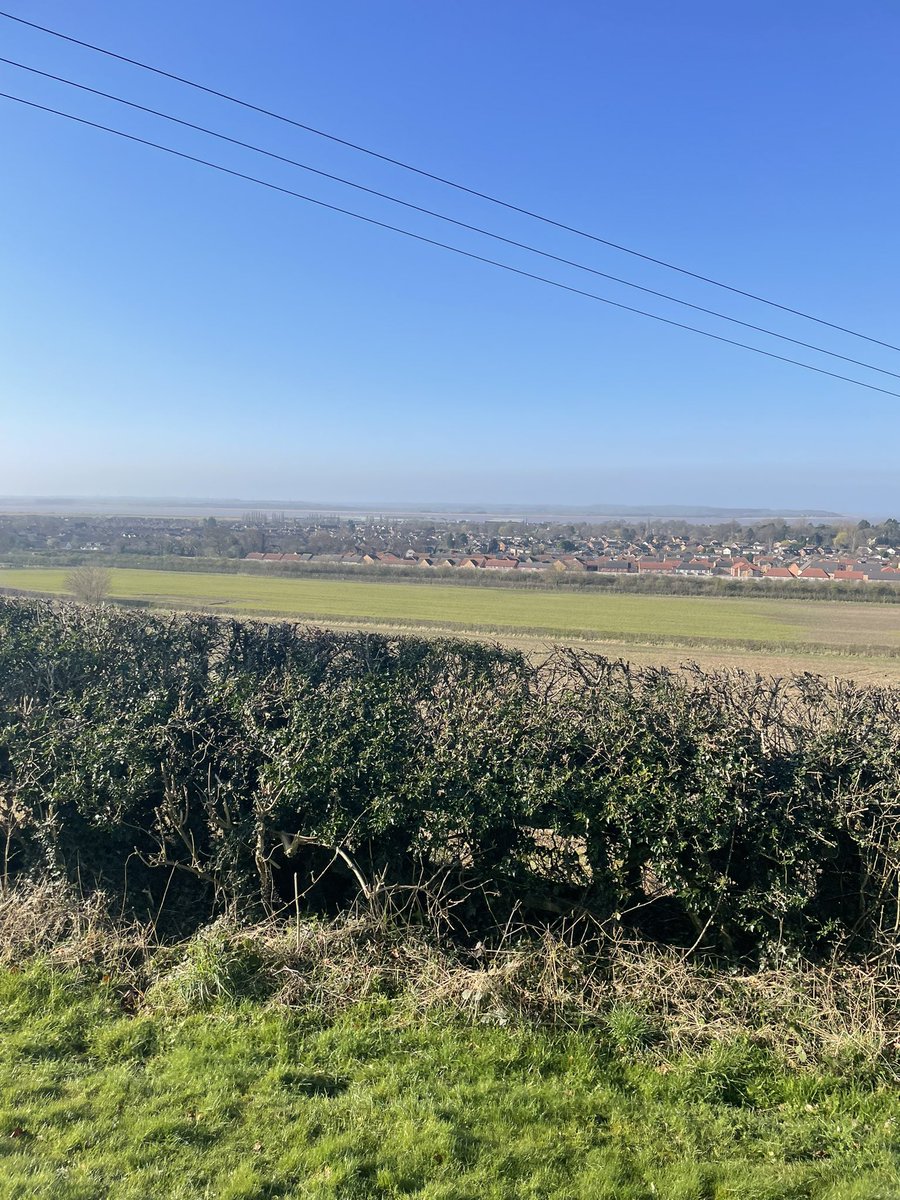 Samantha Coldbeck tweet media