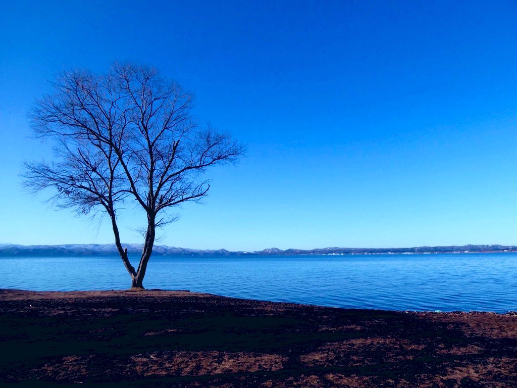 あお (@blue_sky_587) / Posts / X