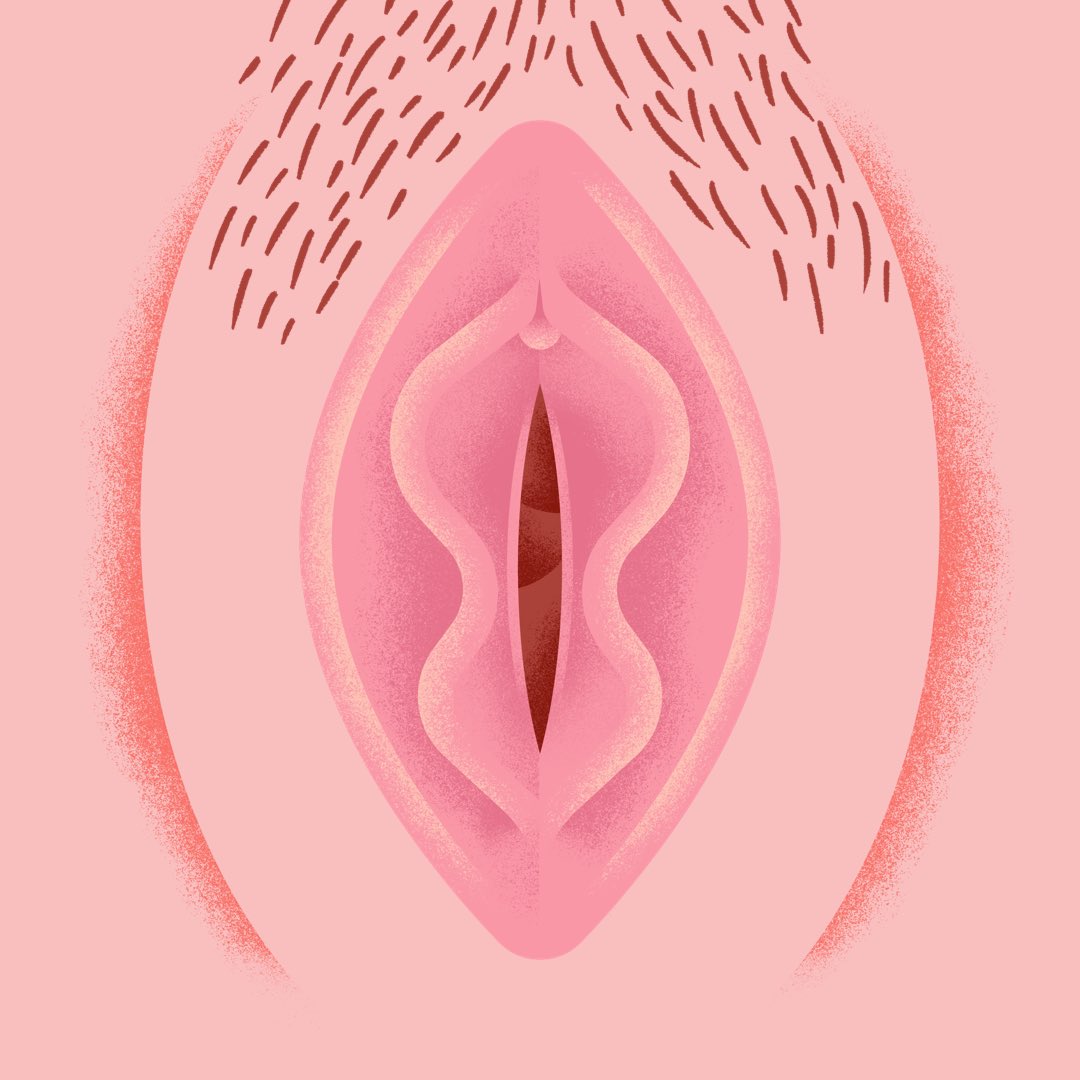 TheGinasNFT's tweet photo. Did you now that the “famously” sensitive penis has around 4,000 nerve endings while the famously “hard-to-find” clitoris has 8,000 ?
#ginas #nft #nfts #NFTCommmunity #NFTCollection #vagina https://t.co/ndlBCJsyAO