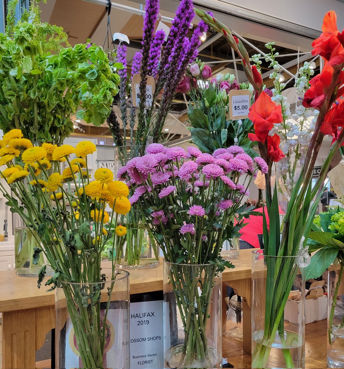 blossom_shops's tweet photo. It's the weekend, if you are out shopping pop in and get yourself some #flowers because you deserve them ! 

#flowershop  #bedfordNS #halifax #dartmouthns #windsorNS #sackvilleNS https://t.co/mV7MPcYUAd