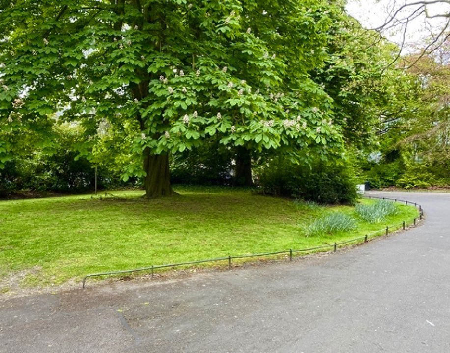 dublin_u2's tweet photo. U2 were awarded the Freedom of the City of Dublin on March 18th 2000, and one of the ancient privileges of a Freeman is 'The right to pasture sheep on common ground within the city boundaries.' The following afternoon Bono and The Edge exercised this right in Stephen's Green. https://t.co/sMeJB09zJP