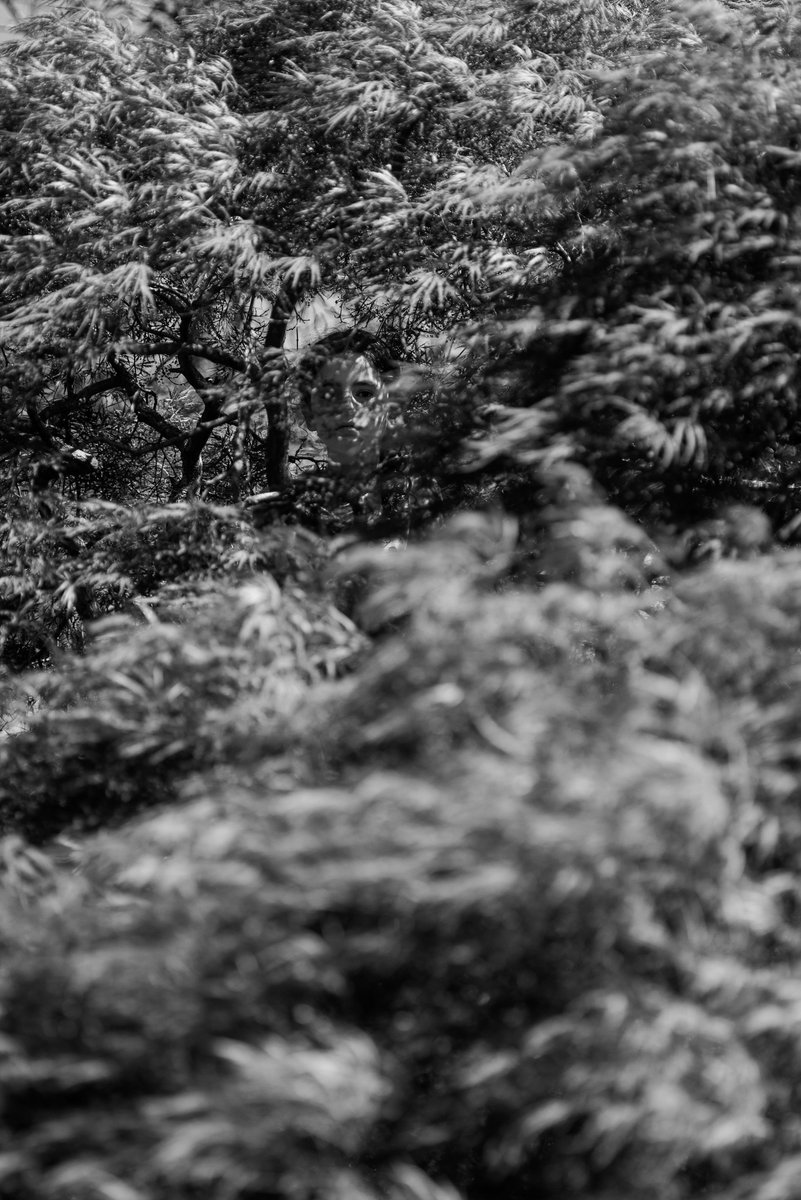 readblackriver's tweet photo. 'Down in the Forest, We Sing a Chorus' by Stacy Arezou Mehrfar @stacymehrfar

Read the full interview: https://t.co/8h8NiImvA6

 #BlackRiverIssue02 https://t.co/79epKx5f4d