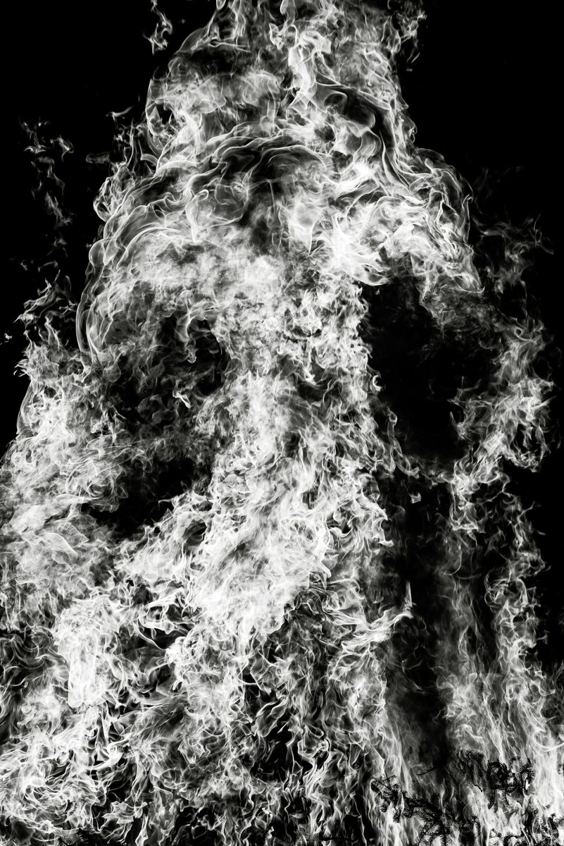readblackriver's tweet photo. 'Down in the Forest, We Sing a Chorus' by Stacy Arezou Mehrfar @stacymehrfar

Read the full interview: https://t.co/8h8NiImvA6

 #BlackRiverIssue02 https://t.co/79epKx5f4d