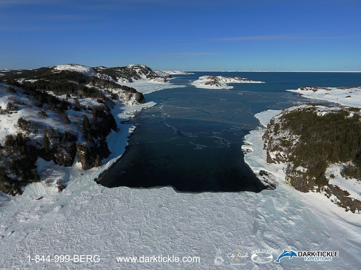 The view out the tickle darktickle.com #darktickle #exploreNL #exploreCanada #outdoors #nature #photography #Newfoundland #Labrador #nlwx #winter #ocean #climatechange