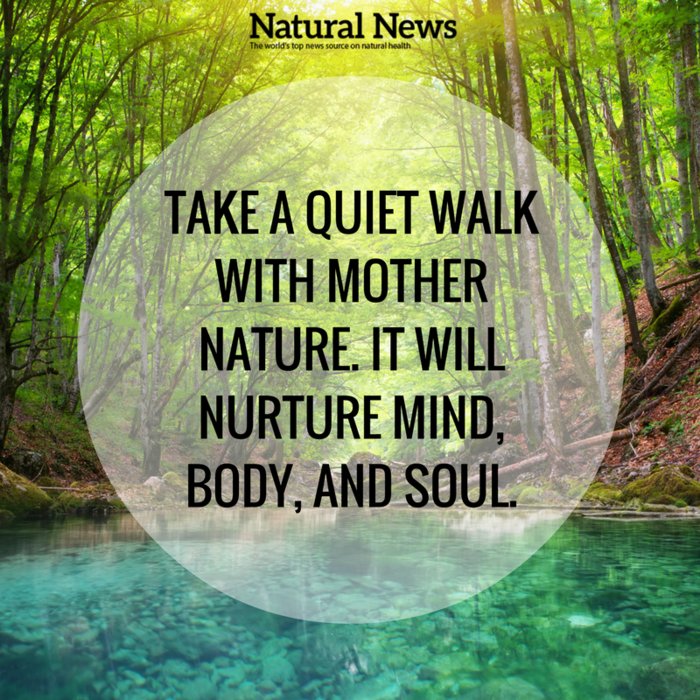 MythicalBeings_'s tweet photo. "Nature itself is the best physician" - Hippocrates
Some fresh air, sun, soil or rain 🌧🍂☀️🍃
Sometimes all you need is a little dose of nature🌳
#SpiritualSaturday #MythicalBeingsNFT #NatureWeek #ReconnectingBackToNature #NFTsForGood #NFTCommunity #NFTs #nature #nftcollector https://t.co/XRTHOMjibi