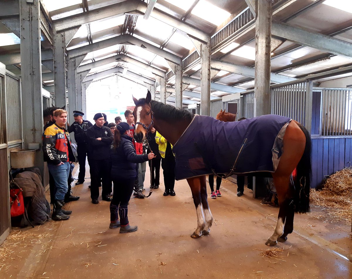 ForestHthPolice's tweet photo. Many thanks to @BRSNewmarket for a very informative mornings tour for our cadets. My favourite was getting to meet 12 year old Bold Prediction formally trained by @edwalkerracing
@SPVolunteers
#PC1505
#PC806
#PC864
#PCSO3036 https://t.co/wT6xGJdk1W