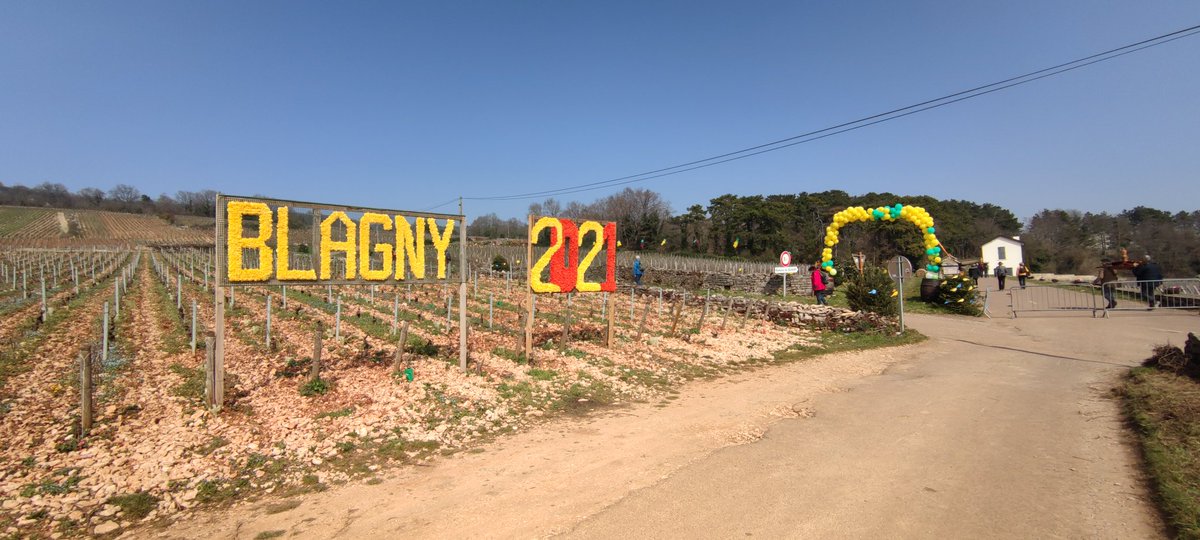 Antho_33's tweet photo. Balade du côté de #Blagny #Puligny #Montrachet et #Corpeau pour la #SaintVincentTournante 🍇 🍷
#Bourgogne https://t.co/7Ja1khXqzj