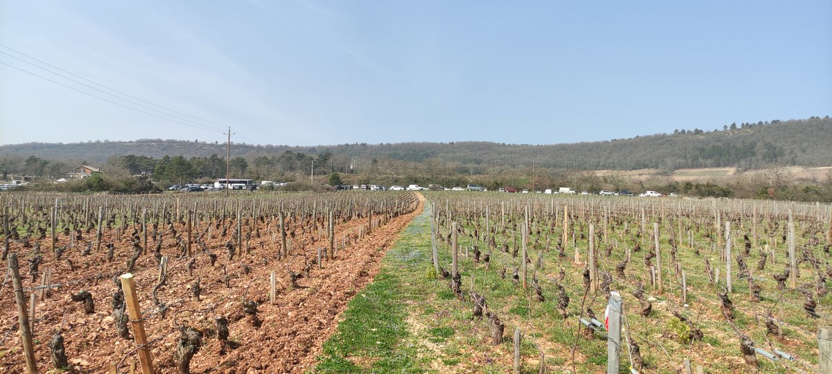 Antho_33's tweet photo. Balade du côté de #Blagny #Puligny #Montrachet et #Corpeau pour la #SaintVincentTournante 🍇 🍷
#Bourgogne https://t.co/7Ja1khXqzj