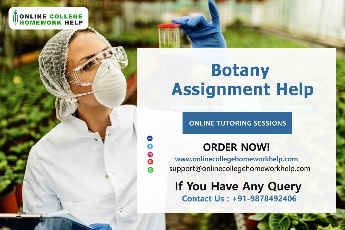Onlinechwhelp's tweet image. Botany Assignment Help and Botany Homework Help by Experts

Online College Homework Help Offers Online Botany Homework help, Botany Assignment Help by Online Botany Tutors at affordable price.

Contact us ☎: +91-9878492406
onlinecollegehomeworkhelp.com/botany.../
#Botanyassignmenthelp