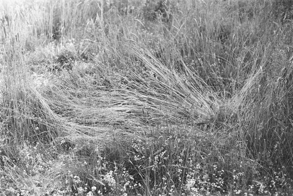 readblackriver's tweet photo. From the Issue 02 gallery wall:
1 Adrian Cann @adriancannphoto
2 Kirsty Robertson
3 Annabel Pettigrew @The_Oxy_Lady
4 Ilaria Sponda

1 2
3 4

https://t.co/SbfPh3u1gI
#BlackRiverIssue02 https://t.co/fR9U4CsDiz