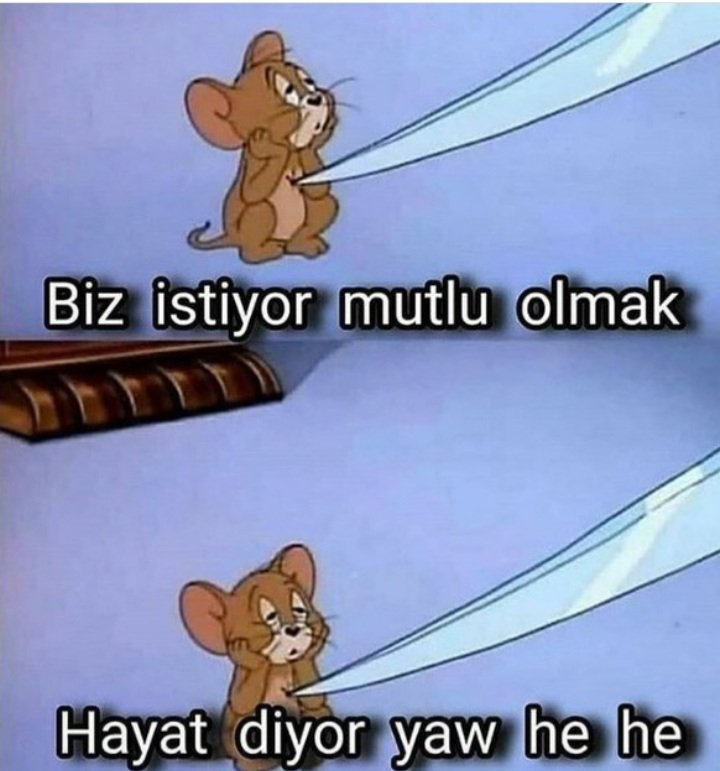 Fatoş (@fatosshn_) on Twitter photo 