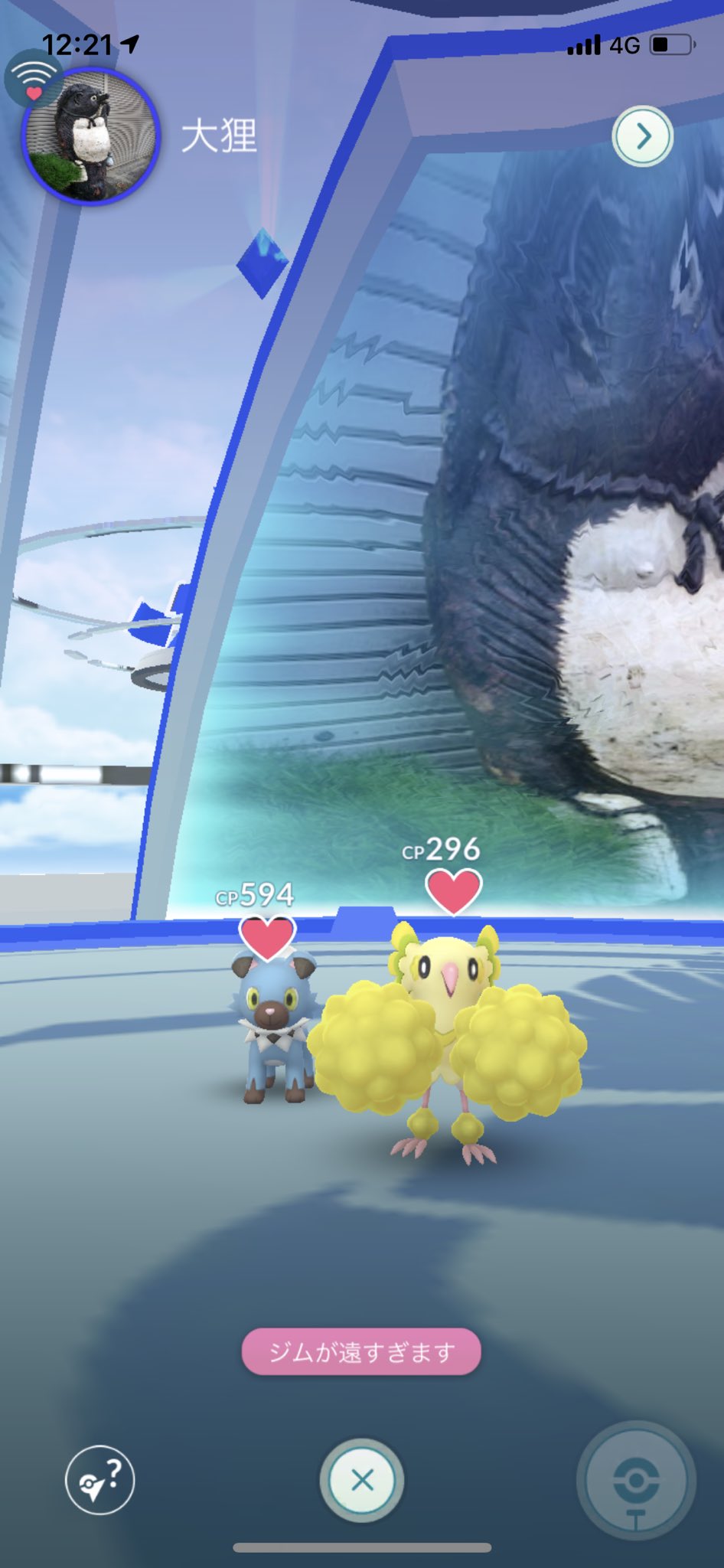 地域限定ポケモン Twitter Search Twitter