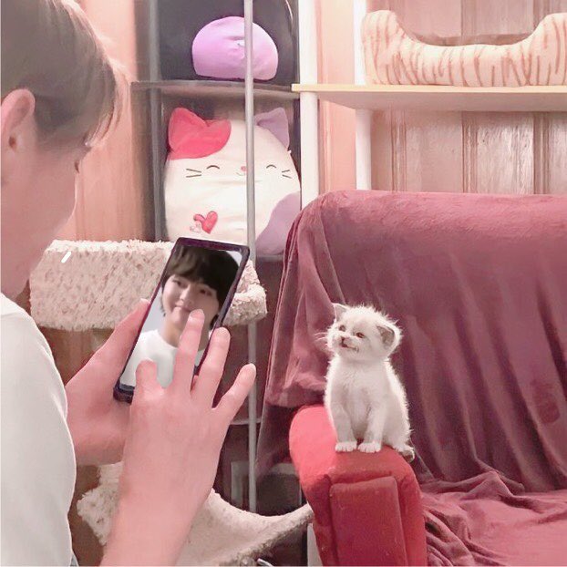 아기! กอวน้องแทที่pin tweet media