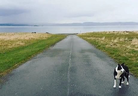 DeCampaign's tweet photo. This place was so silent and deserted then I begin to take a photo and a friendly dog appears out of nowhere and just stands in frame ignoring their owner 📸
#edinburgh #scotland #photography #scenery #coast #open #water #sea
#ancientland #dog #endoftheroad
#scottishphotography https://t.co/NY5P9y2xTr