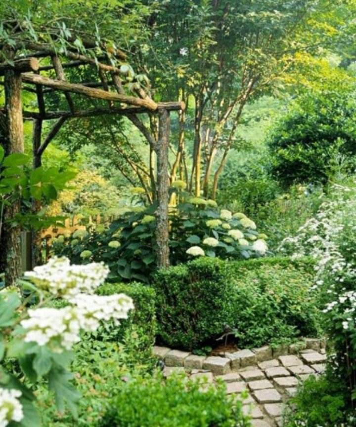 gullerana17's tweet image. #springinfullswing ...spring is the time when your heart sings and your soul has wings...