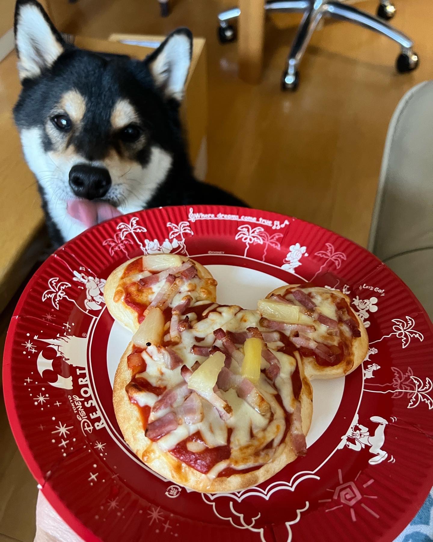 ベーコンとパイナップルのピザ Twitter Search Twitter