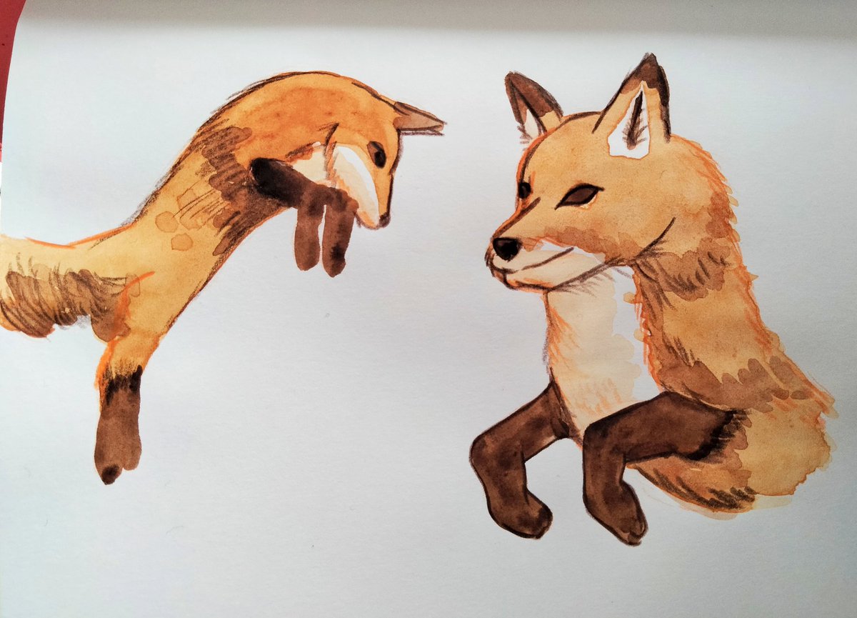 Thewanderingwi2's tweet photo. #martch2022 Study Week with a fox study. I'm taking a break during study week cause i'm not very inspired.. but no worries I'll come back strong on contrast week ! 🌼 https://t.co/Puv2C15ycw