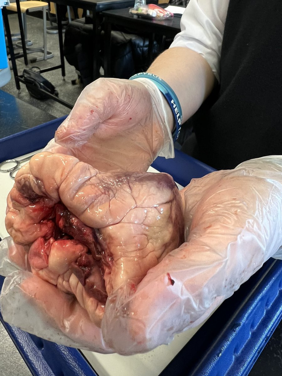 Mrs Javed tweet media