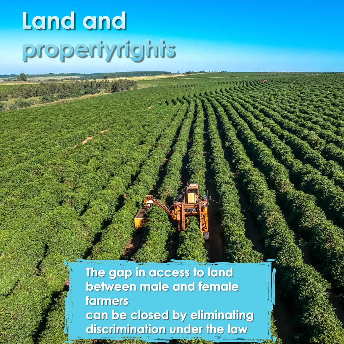 CoffeeSnob_'s tweet photo. The land is the most important agricultural production factor and provides the essentials for crops or holding livestock.#EqualPayDay ,#EqualityCantWait,#TimesUp, #MeToo, #HeForShe and #NoCeiling #equality #pride #feminism #WomensHistoryMonth
#womenempowerment #CoffeeTime #Labor https://t.co/WN6E5LxXnC