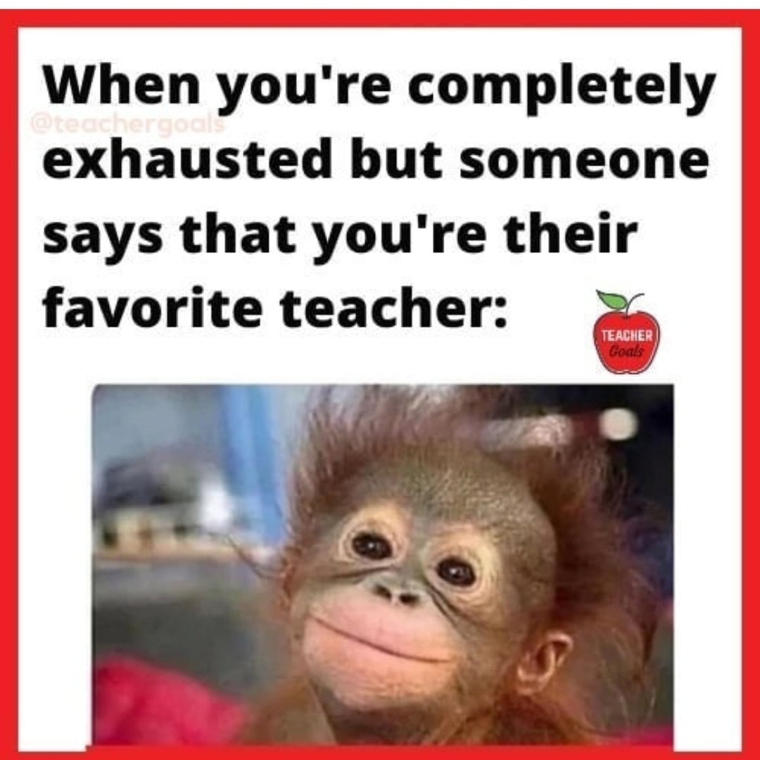 teachergoals's tweet photo. So true. 🧡
🌐 https://t.co/leSsDUnQAd https://t.co/OFLoR7WVFi