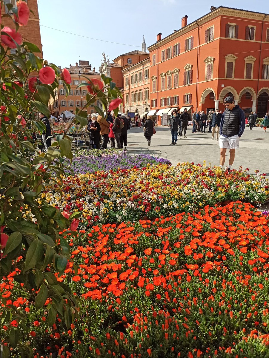 CamComModena's tweet photo. Oggi e domani #Modena è un meraviglioso tappeto di fiori
#Modenainfiore
@turismoER
@ModenaDintorni
@ideal_modena
@cittadimodena https://t.co/plrZIjBsEt