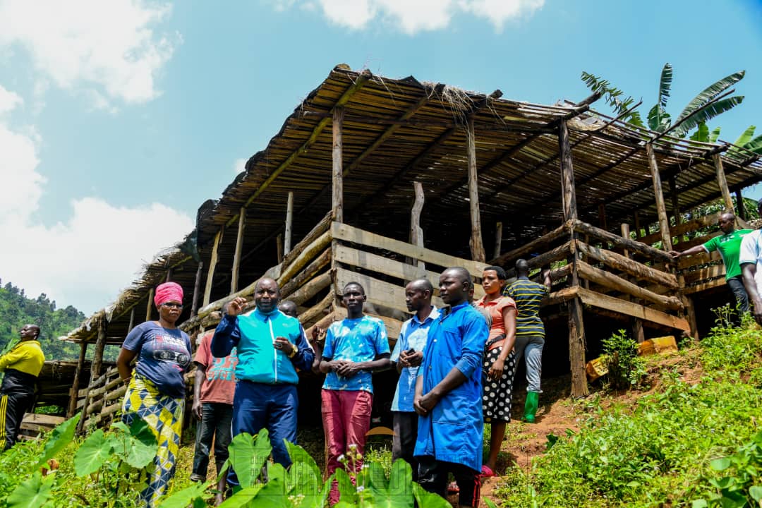 GeneralNeva's tweet photo. Après les travaux communautaires en province @Gitega, je me suis rendu à #Nyamigezi en Commune #Isare dans une coopérative dont je suis membre pour échanger sur l'état des lieux de notre projet d’élevage et sur les perspectives d'avenir. https://t.co/h8SBqhTsRO