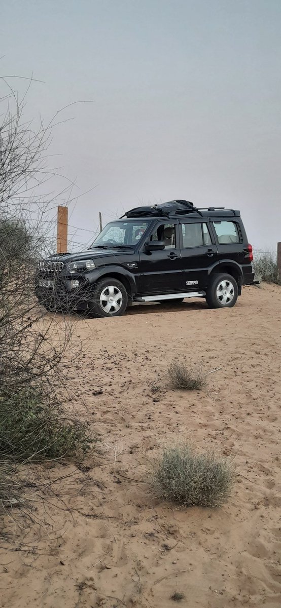 hazelf411's tweet photo. @anandmahindra @MahindraScorpio 
Getaways in Bikaner, desert in scenery https://t.co/ijqkqJk3bY
