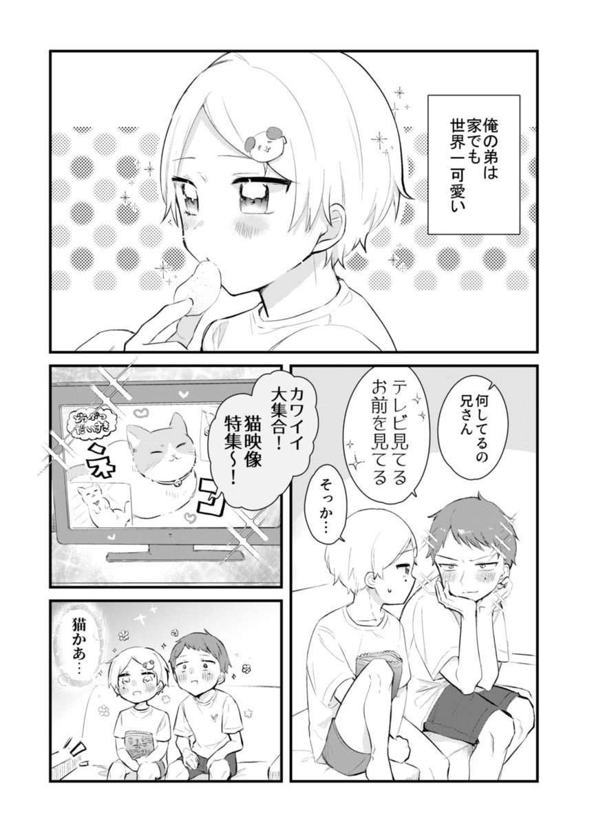 弟のことが好きすぎる兄③ #創作BL 