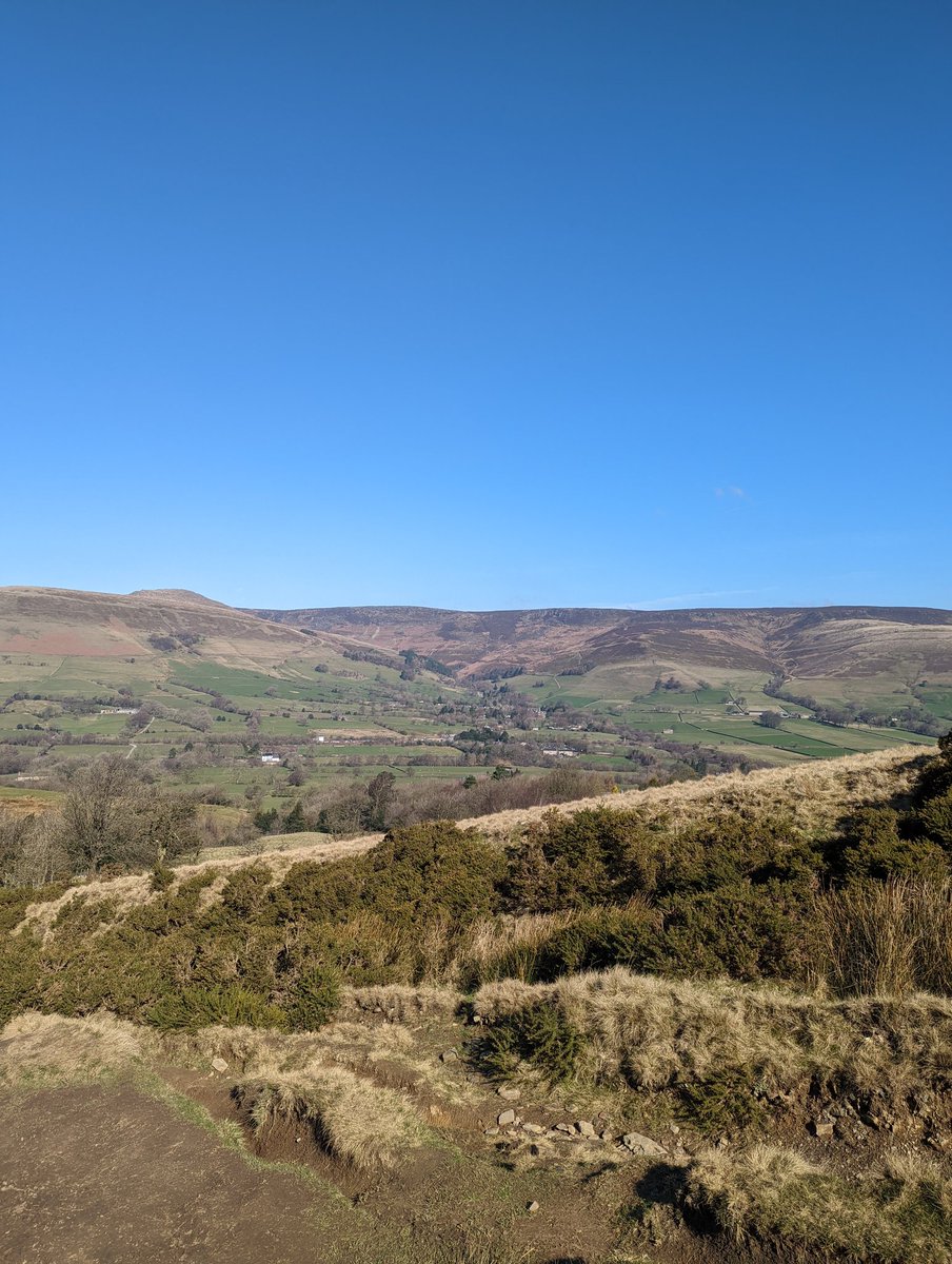 Ellie-May Redfern MPhil, BSc tweet media