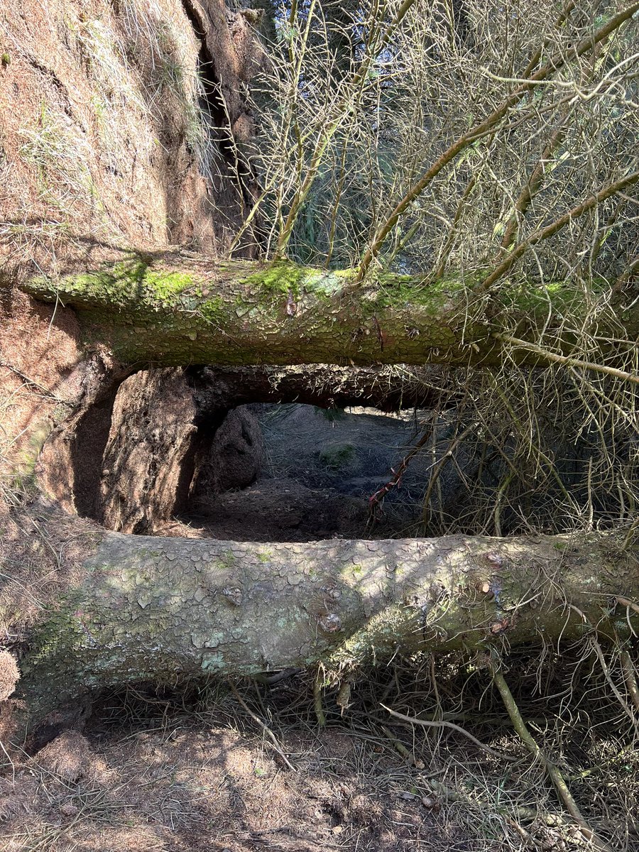 Lovely day at Knockhill, planning the course for Kids &amp; Sprint 1st May -  getting excited now, hope you are?? 🤗😎👍🏽